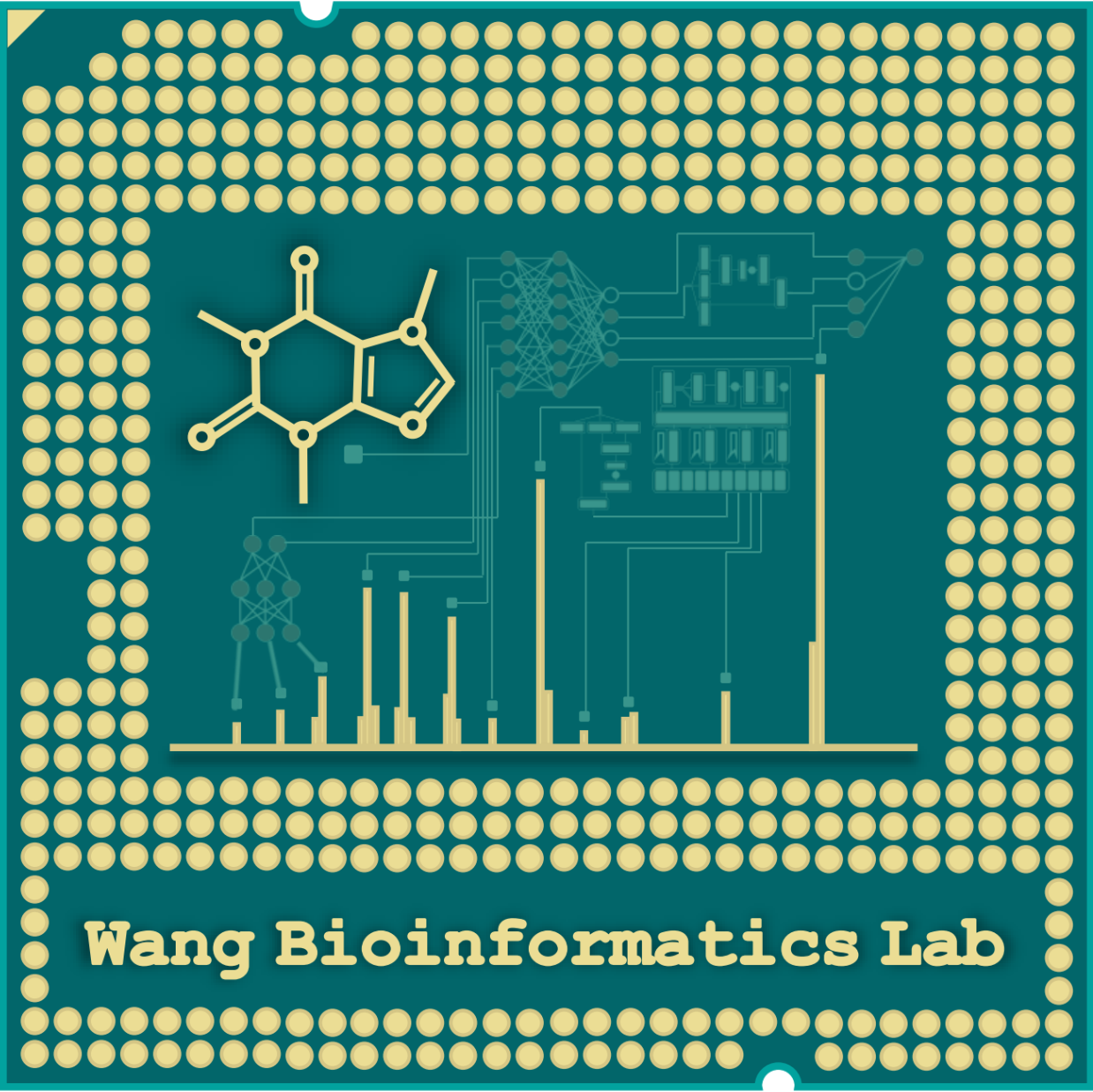 Wang Bioinformatics Lab logo